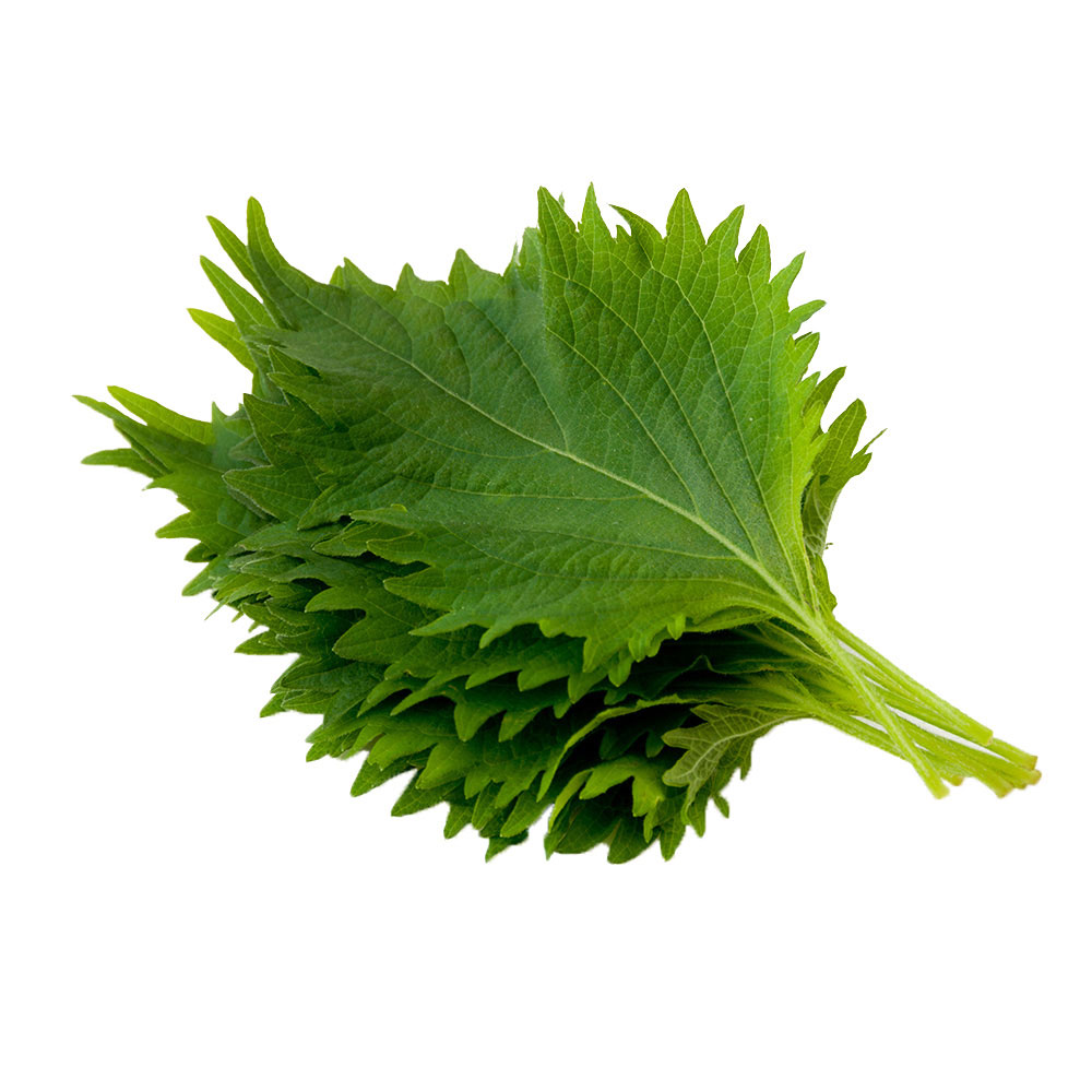 Chinese Basil Shiso Gala Fruit