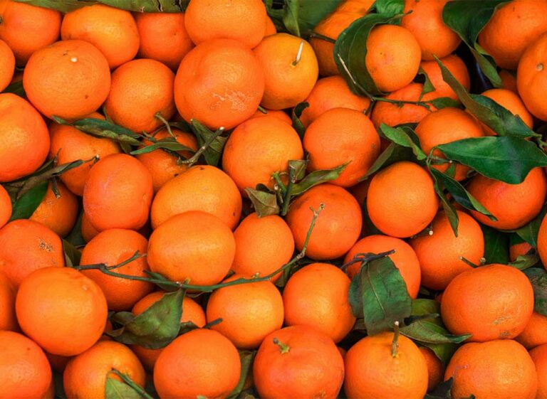 Clementine Gala Fruit